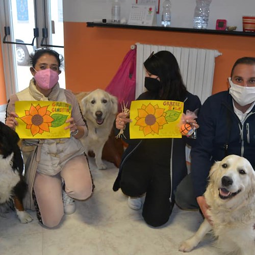 Al centro socio-polifunzionale per disabili "Girasole" arriva la pet therapy, l'iniziativa dell'Enpa Costa d'Amalfi 