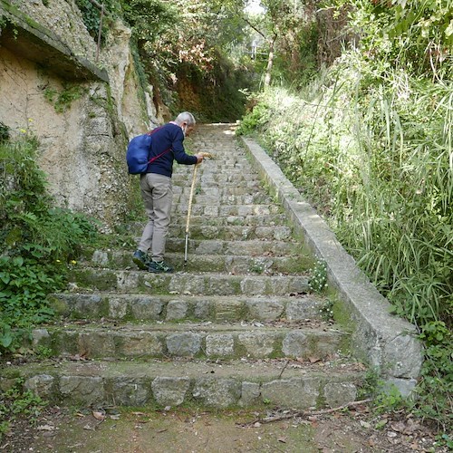 Alla scoperta del "Sentiero delle Formichelle" con Filippo Civale /Foto