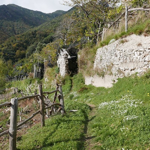 Alla scoperta del "Sentiero delle Formichelle" con Filippo Civale /Foto