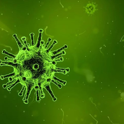 Allarme coronavirus in Cina, 291 contagiati e 6 morti. Rezza (ISS): «Il rischio che arrivi in Europa esiste»