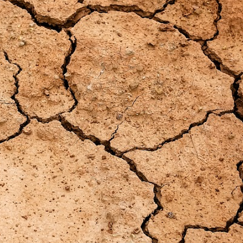 Allarme siccità, Coldiretti: «Po mai cosi basso da 70 anni. In Campania danni su grano duro»