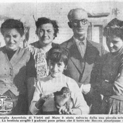 Alluvione 1954, quando la scimmia Cita salvò una famiglia di Molina di Vietri sul Mare<br />&copy; Cava storie