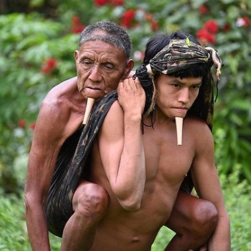 Amazzonia, 12 ore nella foresta col padre in spalla per farlo vaccinare: l'impresa di Tawy stupisce il mondo