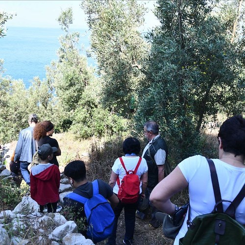 Anacapri, grande partecipazione alla terza edizione della merenda nell'oliveta