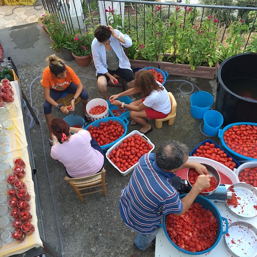 Anche quest'anno si rinnova la tradizione delle conserve di pomodoro in casa Fusco /foto /video