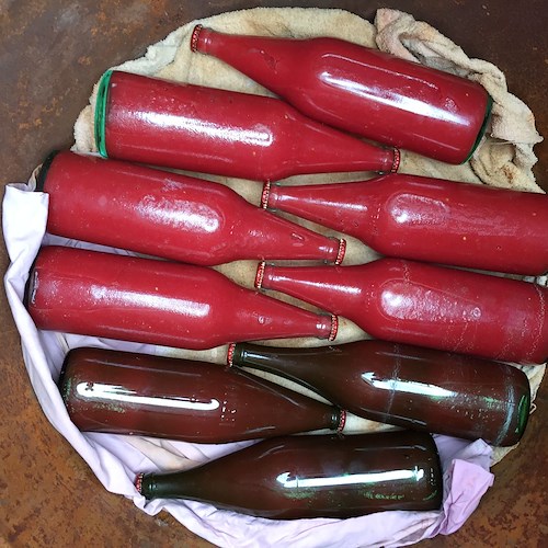 Anche quest'anno si rinnova la tradizione delle conserve di pomodoro in casa Fusco /foto /video