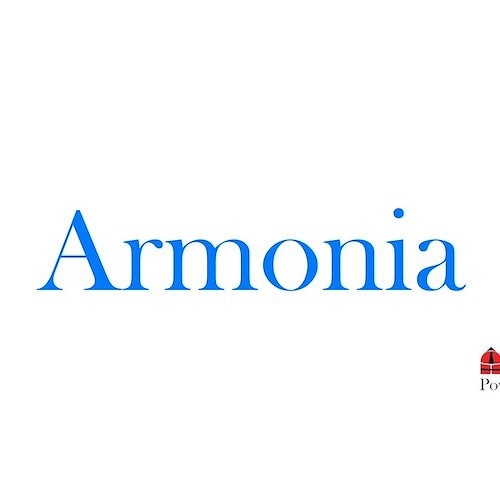  Armonia: L'Equilibrio Elegante della Vita