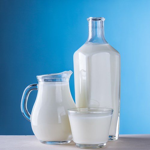 Aumento costi: la CIA di Salerno dalla parte dei produttori di latte