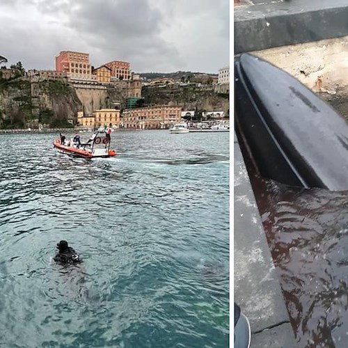 Balenottera si arena nel porto di Sorrento e muore, Cacace: «Non è colpa di nessuno, evento naturale»