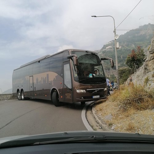 Bus sovradimensionato si avventura sulla Ss163 Amalfitana, Vigili lo bloccano. Difficoltà per inversione di marcia /FOTO