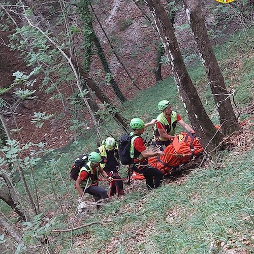 Cade mentre raccoglie funghi e si ferisce gravemente, apprensione su monte Polveracchio per uomo di Eboli 