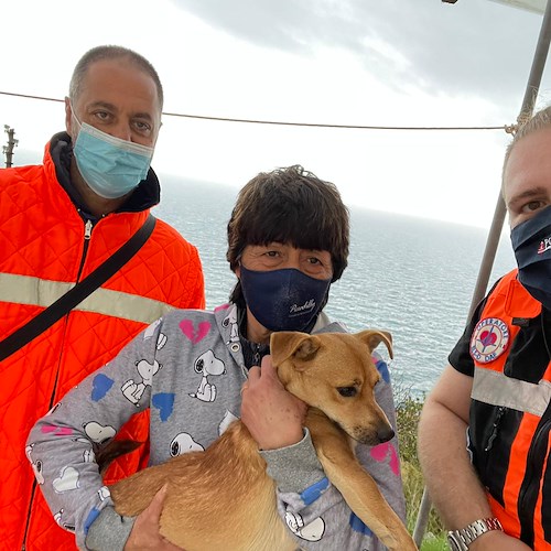 Cagnolino salvato da turista straniera con la collaborazione della P.A. Resilienza Costiera Amalfitana /foto