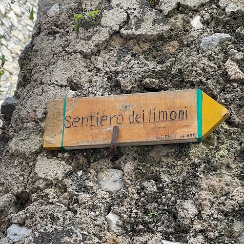 Cai Cava e Centro Storia e Cultura Amalfitana insieme per un'escursione sul Sentiero dei Limoni