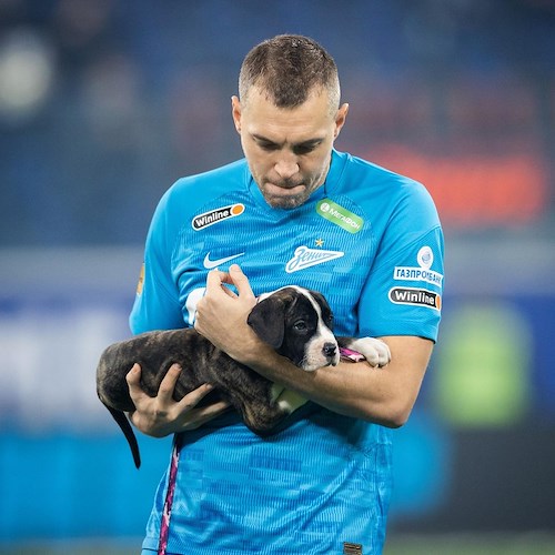 Calcio, lo Zenit scende in campo con cani abbandonati: iniziativa per sensibilizzare sull’adozione consapevole