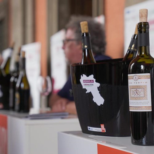 "Campania.Wine Sustainability", la prima edizione è un successo. Consorzi di Tutela campani: «Obiettivi raggiunti»