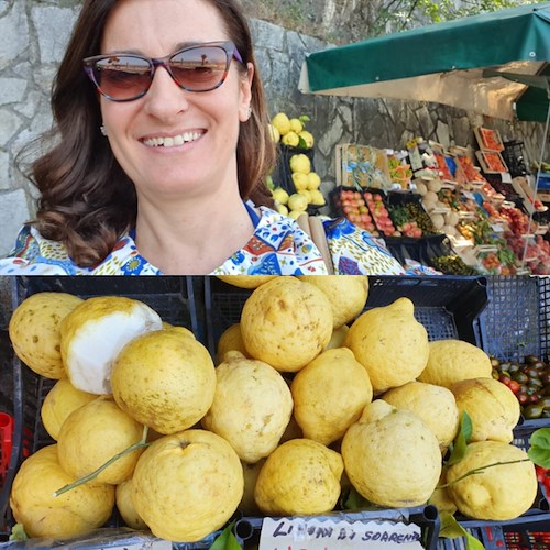 Carla Ruocco (M5S) da Sorrento: “Tutto il mondo impazzisce per i nostri prodotti”