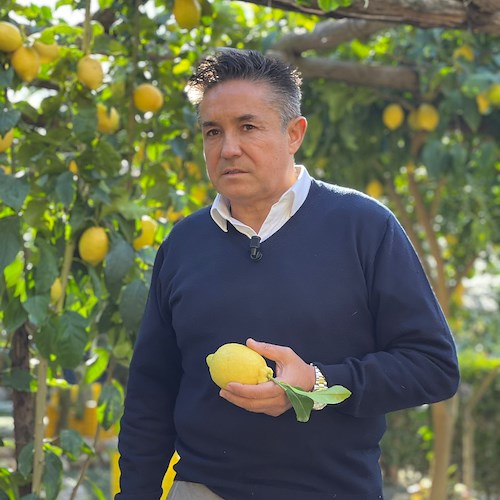 Carlo De Riso a La7: «Il Limone Costa d'Amalfi simbolo della nostra terra»