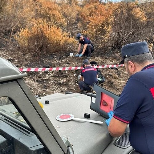 Incendio a Caserta <br />&copy; I Carabinieri Forestali di Caserta