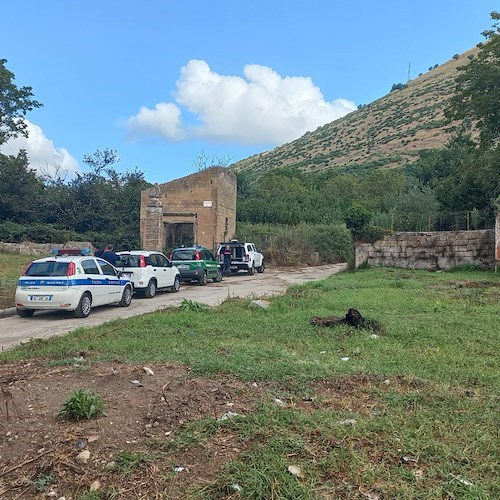 Castel San Giorgio, inviata informativa alla Procura sull'avvelenamento dei 5 cani