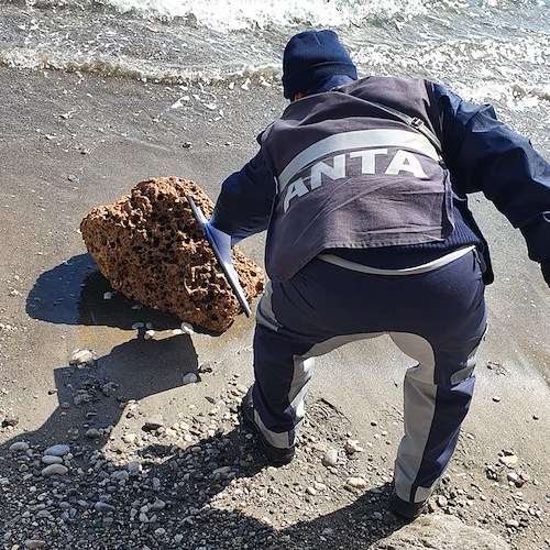 Cercatori di datteri danneggiano i Due Fratelli di Vietri sul Mare, Sindaco: «Ho avvisato immediatamente il prefetto»