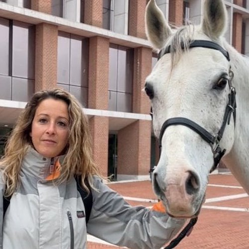 Cesena, smart working negato: Tabita va al lavoro a cavallo in segno di protesta 