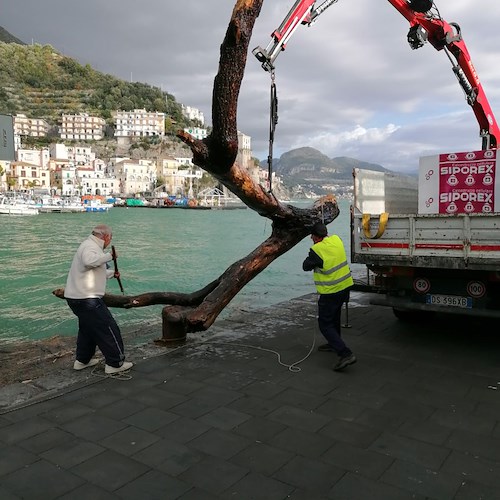 "Cetara Servizi" interviene per la pulizia del porto invaso dal materiale trasportato dal maltempo /Foto