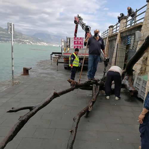 "Cetara Servizi" interviene per la pulizia del porto invaso dal materiale trasportato dal maltempo /Foto