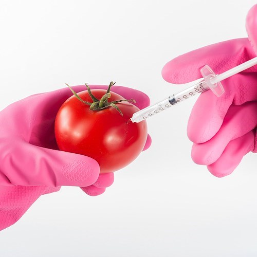 Cibo sintetico, la Giunta Comunale di Piano di Sorrento aderisce alla petizione Coldiretti