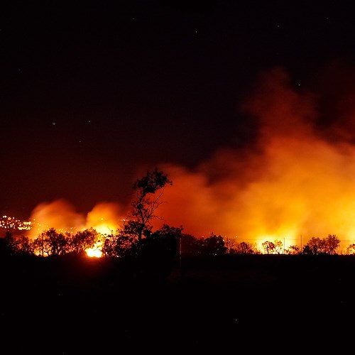 Cile, è emergenza incendi: anche i "nostri" Carabinieri a supporto delle autorità locali 