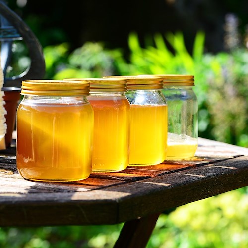 Coldiretti, miele prodotto in Italia nel 2022 ai minimi storici