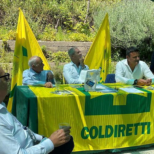 Coldiretti si riunisce a Tramonti, Amato su "agricoltura eroica": «Aiuti comunitari anche a chi possiede pochi ettari»