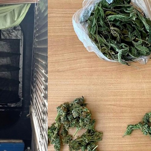 Coltiva marijuana sul balcone di casa ma l’odore si propaga per tutto il paese: 28enne arrestato nel Casertano 