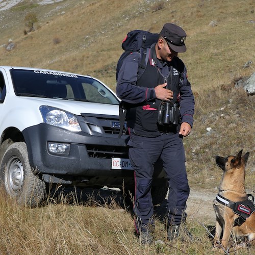 Contrasto ai bocconi avvelenati: Carabinieri Forestali bonificano le campagne in provincia di Cuneo 