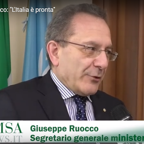 Coronavirus, Giuseppe Ruocco rassicura gli italiani: «Il Ministero è pronto, task force perennemente allertata»