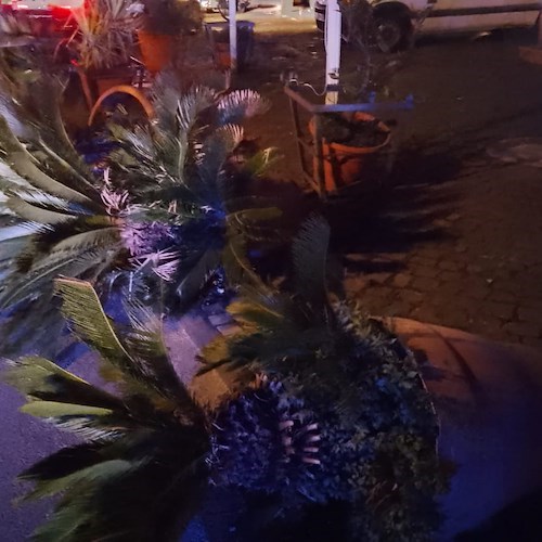 Danneggia sedie, vasi e parabrezza di auto: carabinieri denunciano uomo a Cetara / FOTO 