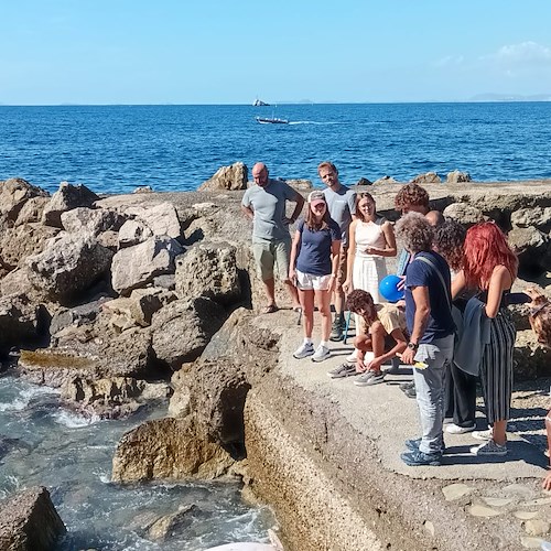 Delfino trovato morto a Marina della Lobra, carcassa rimossa con l'intervento dell'Area Marina Punta Campanella 