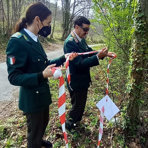 Discarica di amianto a Mercato San Severino: il blitz delle guardie EcoZoofile Anpana. Cirielli annuncia interrogazione parlamentare