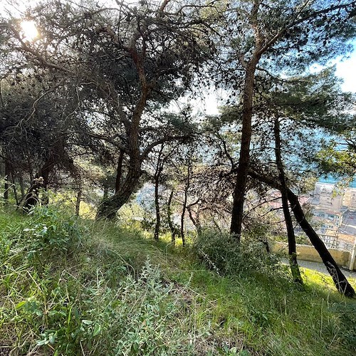 Domato incendio a Maiori: al via la bonifica 