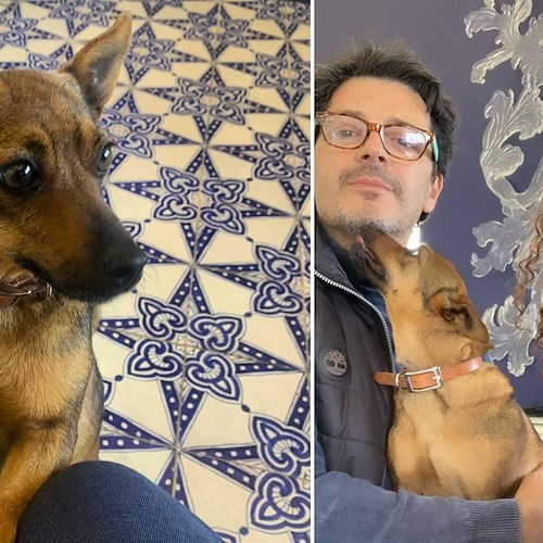 E' stata riconsegnata ai legittimi proprietari la cagnolina che lungo il sentiero degli dei aveva raggiunto Villa Treville a Positano
