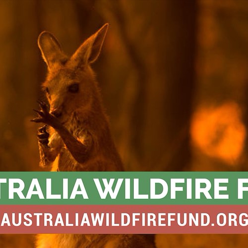 Earth Alliance si impegna ad investire 3 milioni di dollari contro gli incendi che hanno devastato l'Australia