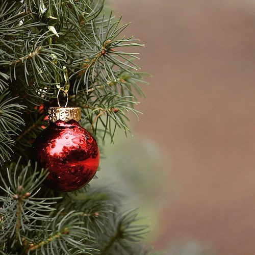 Albero di Natale<br />&copy; TanteTati