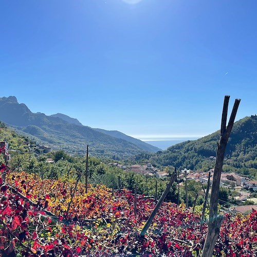 Enogastronomia, 15 dicembre la presentazione del progetto "Borgo del Gusto" a Tramonti 