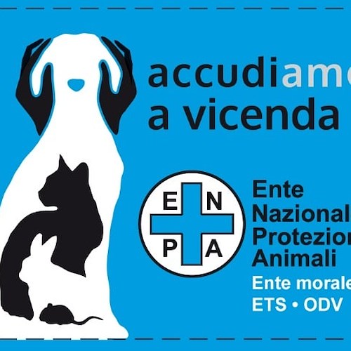 ENPA Costa d’Amalfi dà il via ai tesseramenti: «Date una mano per una zampa da salvare»