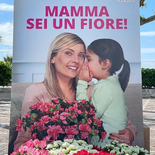 Festa della Mamma in Costa d'Amalfi, volontari AIRC distribuiscono l’Azalea della Ricerca / ECCO DOVE