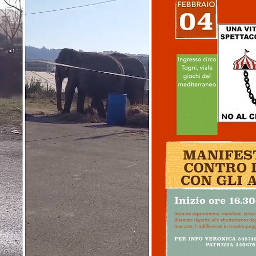 Fuorigrotta, 4 febbraio manifestazione cittadina contro lo sfruttamento degli animali al circo <br />&copy; Francesco Emilio Borrelli