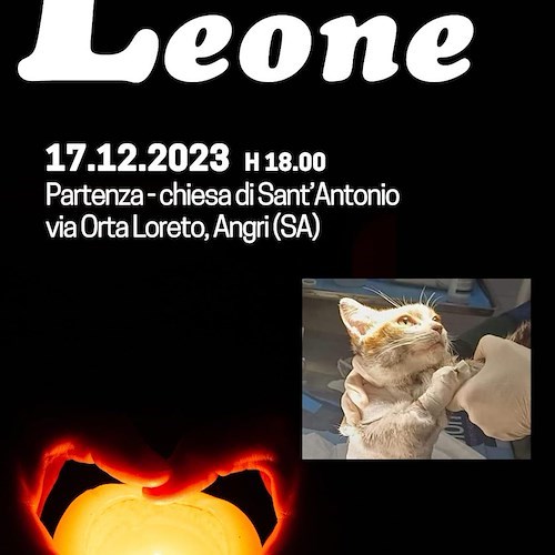 Fiaccolata per Leone<br />&copy; Teresa Salsano