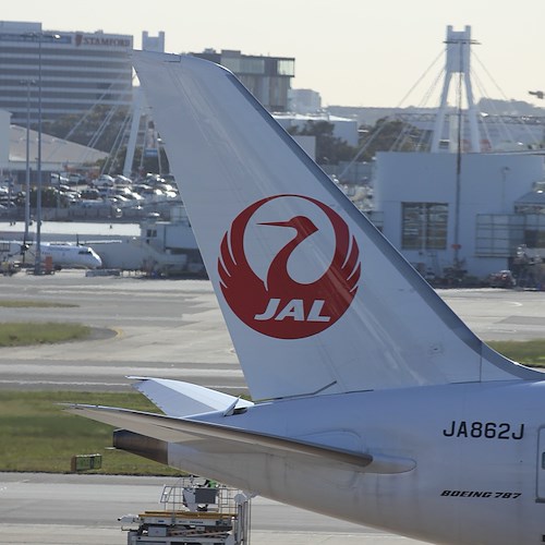 Un volo della Japan Airlines<br />&copy; Foto di Nel Botha da Pixabay
