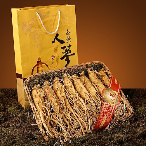 Ginseng, l'elisir orientale che tonifica corpo e mente