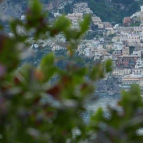 Giornata Nazionale degli Alberi, dal Comune di Positano iniziativa per esprimere legame con l'ambiente