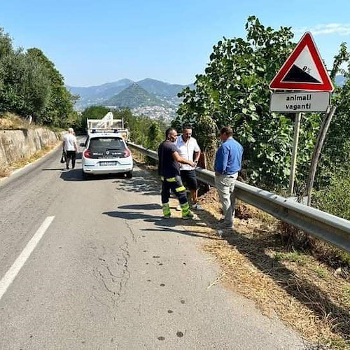 Lavori di illuminazione sull'Avvocatella <br />&copy; Comitato Civico Dragonea
